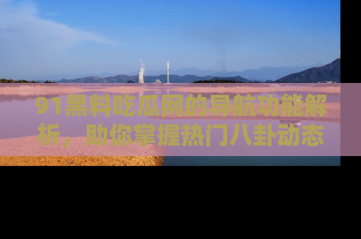 91黑料吃瓜网的导航功能解析，助你掌握热门八卦动态