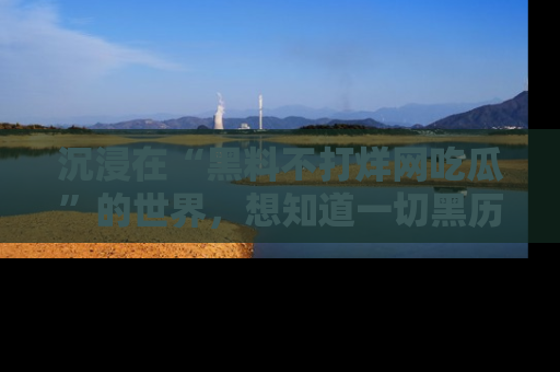 沉浸在“黑料不打烊网吃瓜”的世界，想知道一切黑历史与内幕信息的网站！