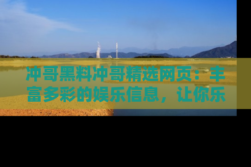 冲哥黑料冲哥精选网页：丰富多彩的娱乐信息，让你乐不停息