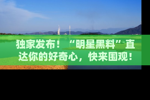 独家发布！“明星黑料”直达你的好奇心，快来围观！