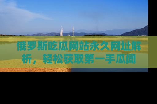 俄罗斯吃瓜网站永久网址解析，轻松获取第一手瓜闻