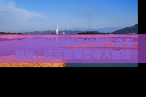 “老司机黑料不打烊”发布揭秘，娱乐圈那些令人热议的黑暗秘密！