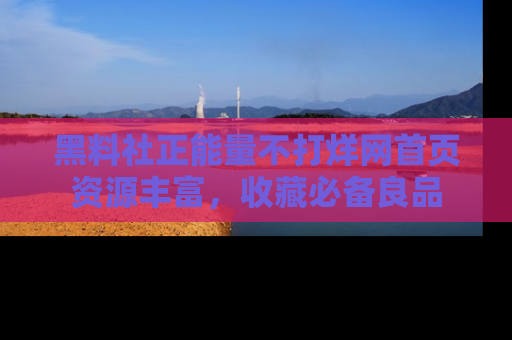 黑料社正能量不打烊网首页资源丰富，收藏必备良品