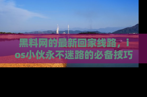 黑料网的最新回家线路，ios小伙永不迷路的必备技巧！