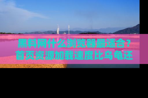 黑料网什么浏览器最适合？首页资源加载速度比乌龟还慢的体验真心吐槽！