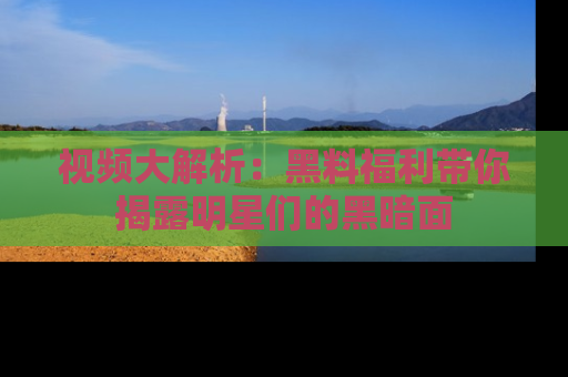 视频大解析：黑料福利带你揭露明星们的黑暗面