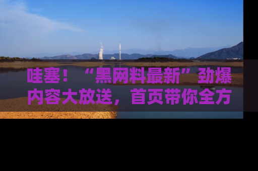 哇塞！“黑网料最新”劲爆内容大放送，首页带你全方位了解哦，小可爱们