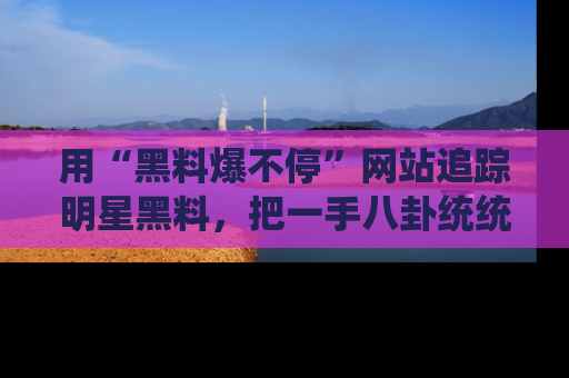 用“黑料爆不停”网站追踪明星黑料，把一手八卦统统收进你的后宫中！