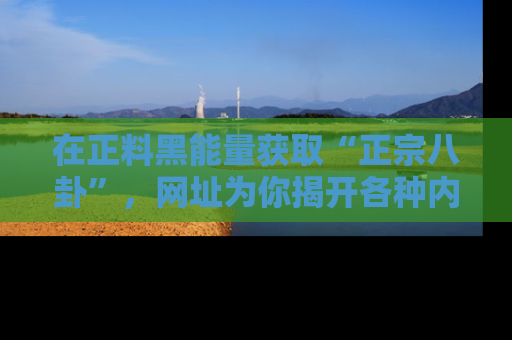 在正料黑能量获取“正宗八卦”，网址为你揭开各种内幕故事！