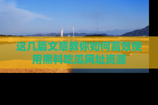 这几篇文章教你如何高效使用黑料吃瓜网址资源